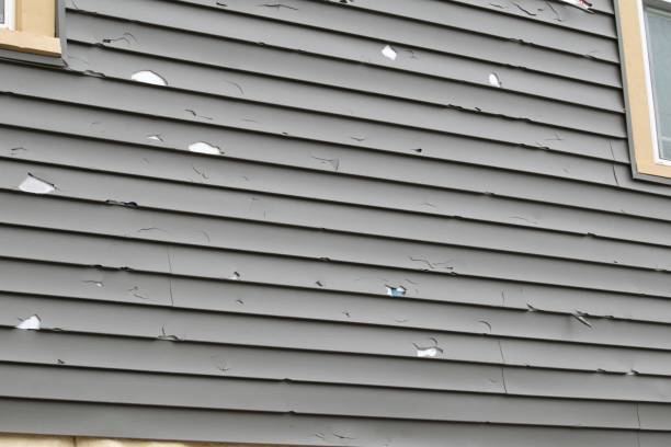 Best Historical Building Siding Restoration  in Wagner, SD